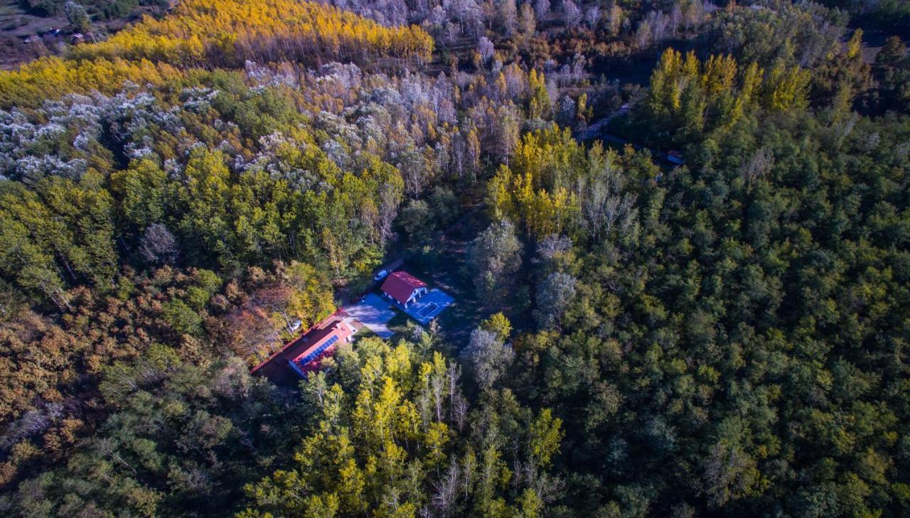 Bagosi Vendeghaz Hotel Hajdubagos Zewnętrze zdjęcie